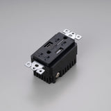 Buster + Punch NSM-023242 Duplex Outlet + USB A/C Module