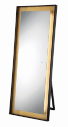 Eurofase Lighting 33833-019 LED Mirror 65 X 65 inch Freestanding Wall Mirror Light Black Finish