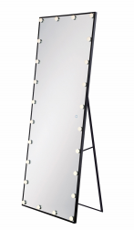 Eurofase Lighting 35884-019 LED Mirror 65 X 24 inch Rectangular Wall Mirror Light Black Finish