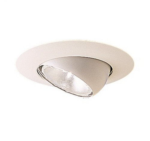 Nora Lighting NT-28 6" BR/PAR30 Eyeball with Metal Trim 1- BuyRite Electric
