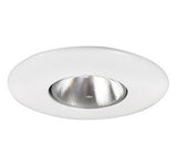 Nora Lighting NT-30 6" BR30/PAR30 Open Metal Trim Natural Metal Eyeball with Natural Metal Trim