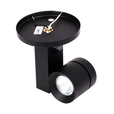 Core Lighting CTL-420MP-L2-30K-SI-WF-MP-120, 16W LED Vertical Monopoint Track Head, 120V Color Temperature 3000k, Beam Spread Wide Flood, Silver Finish