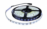 Westgate R24V-5M-D5-RGB Led Flexible Ribbon Light-Indoor