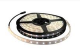 Westgate R12V-5M-D3-P65-CW Led Flexible Ribbon - Cool White