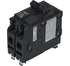 Siemens D260 60-Amp QO Replacement Two Pole Circuit Breaker - BuyRite Electric