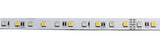 Core Lighting LSP50-RGBW-50K-100FT-24V 4.4W Indoor Rated Color-changing + White LED Strip LSP50 Model,  RGBW + 5000K Color Temperature, Length 100Ft, Voltage 24V