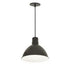 NORA Lighting NRLM-16C25 16" LED RLM Shade with 96" Pendant Cord, 2500 Lumens - BuyRite Electric