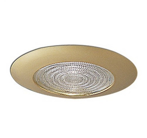 Nora Lighting NT-23 6" Fresnel Lens with Metal Trim 4- BuyRite Electric
