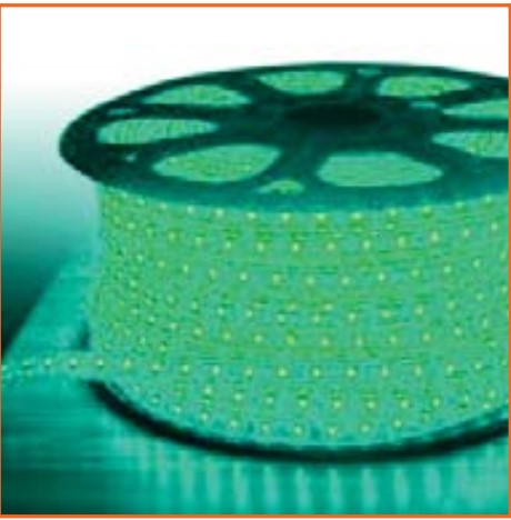 EnvisionLED RML-SMD5050-120-G LED 120V Colored Striplights Green Finish