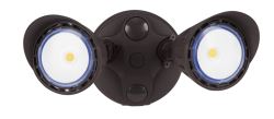 LED Security Lights