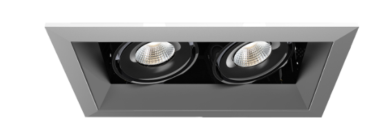 Eurofase Lighting TE162LED-35-2-0N LED 30W Multiple Recessed Light Platinum/Black Finish
