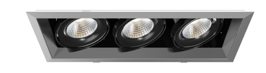 Eurofase Lighting TE163LED-30-2-0N LED 60W Multiple Recessed Light Platinum/Black Finish